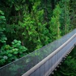 【恋愛心理】吊り橋効果とは？ドキドキが恋に変わる心理テクニックを解説
